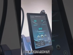 কালো সোয়ান