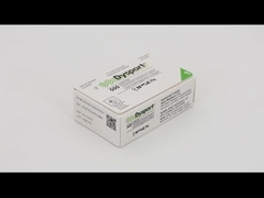 500i ডিস্পোর্ট