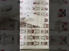 প্রোফিলো এইচ+এল